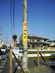 SA3A0035.jpg